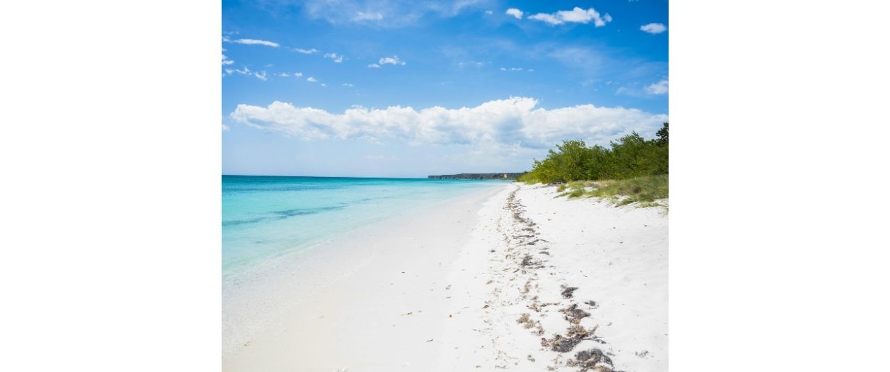 oberoi 1920 x 1080 px 1920 x 1080 px 4