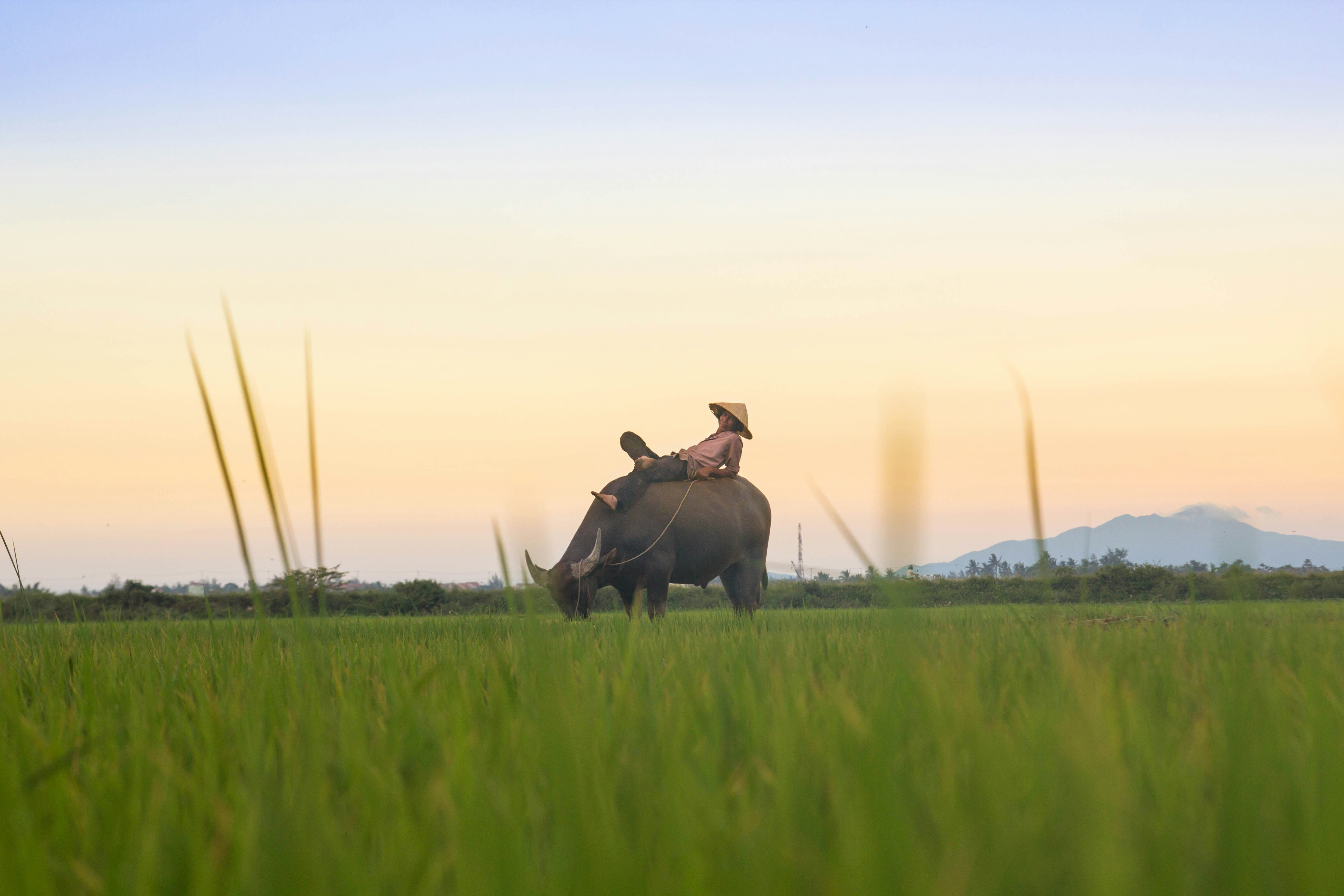 kiril dobrev ub0qivpsxgc unsplash